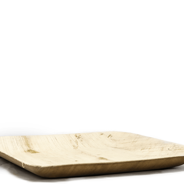 Grandes assiettes biodégradable et compostable Esprit Planète