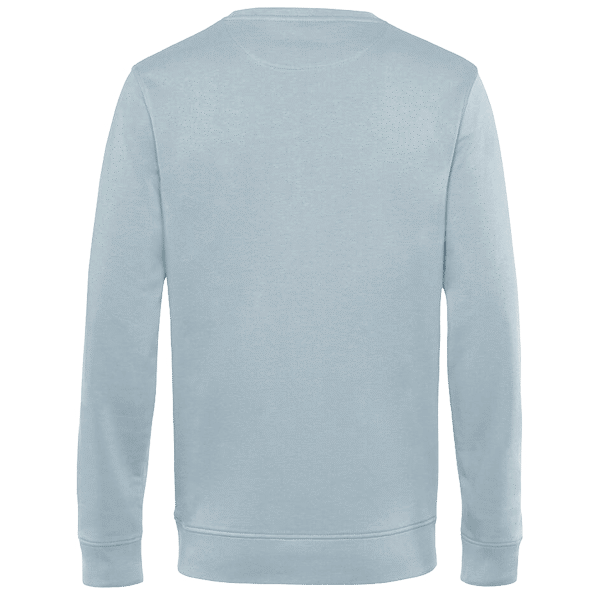 Sweat organique arrière blue fog