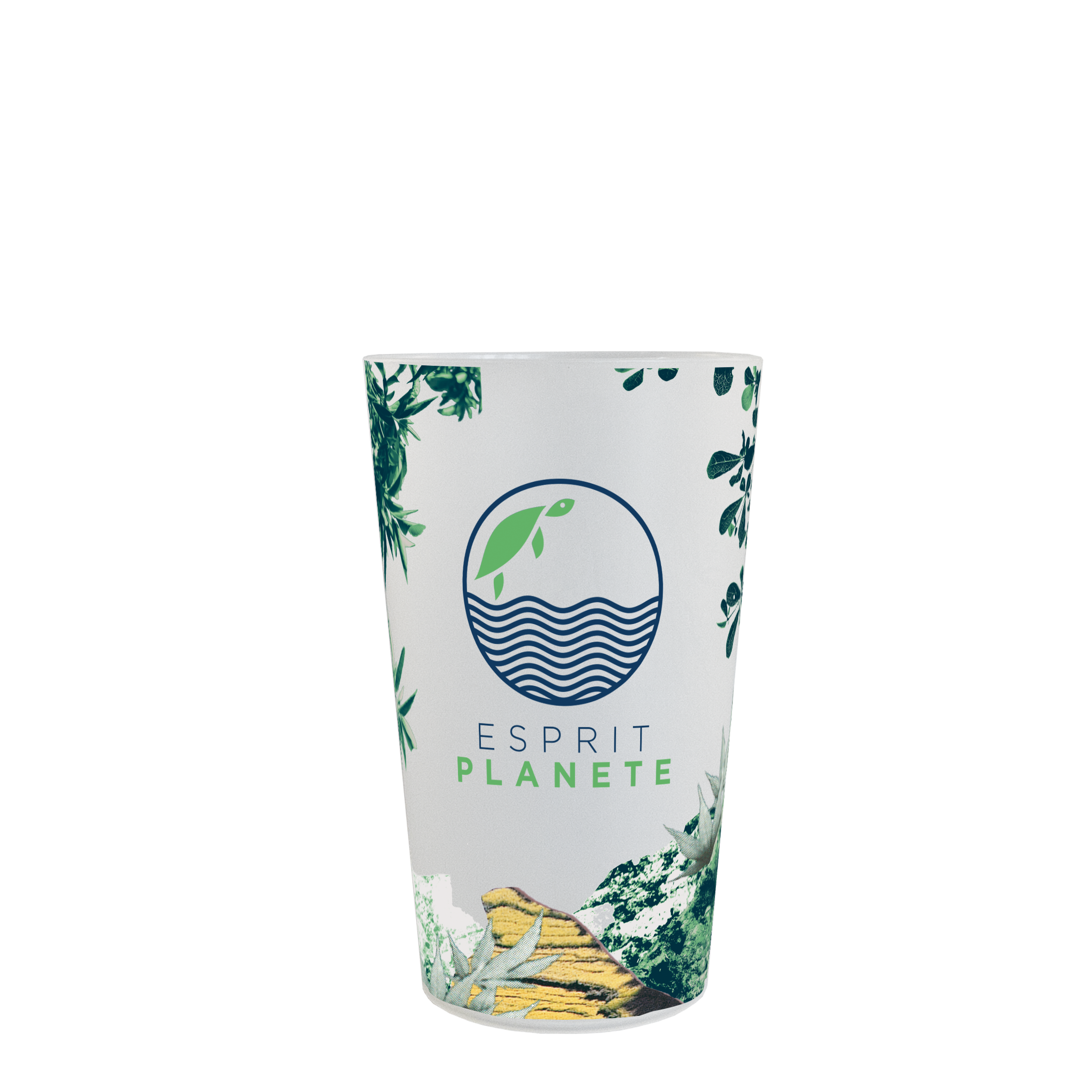 CUP25 parc CUP